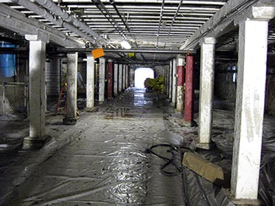 Mold remediation project