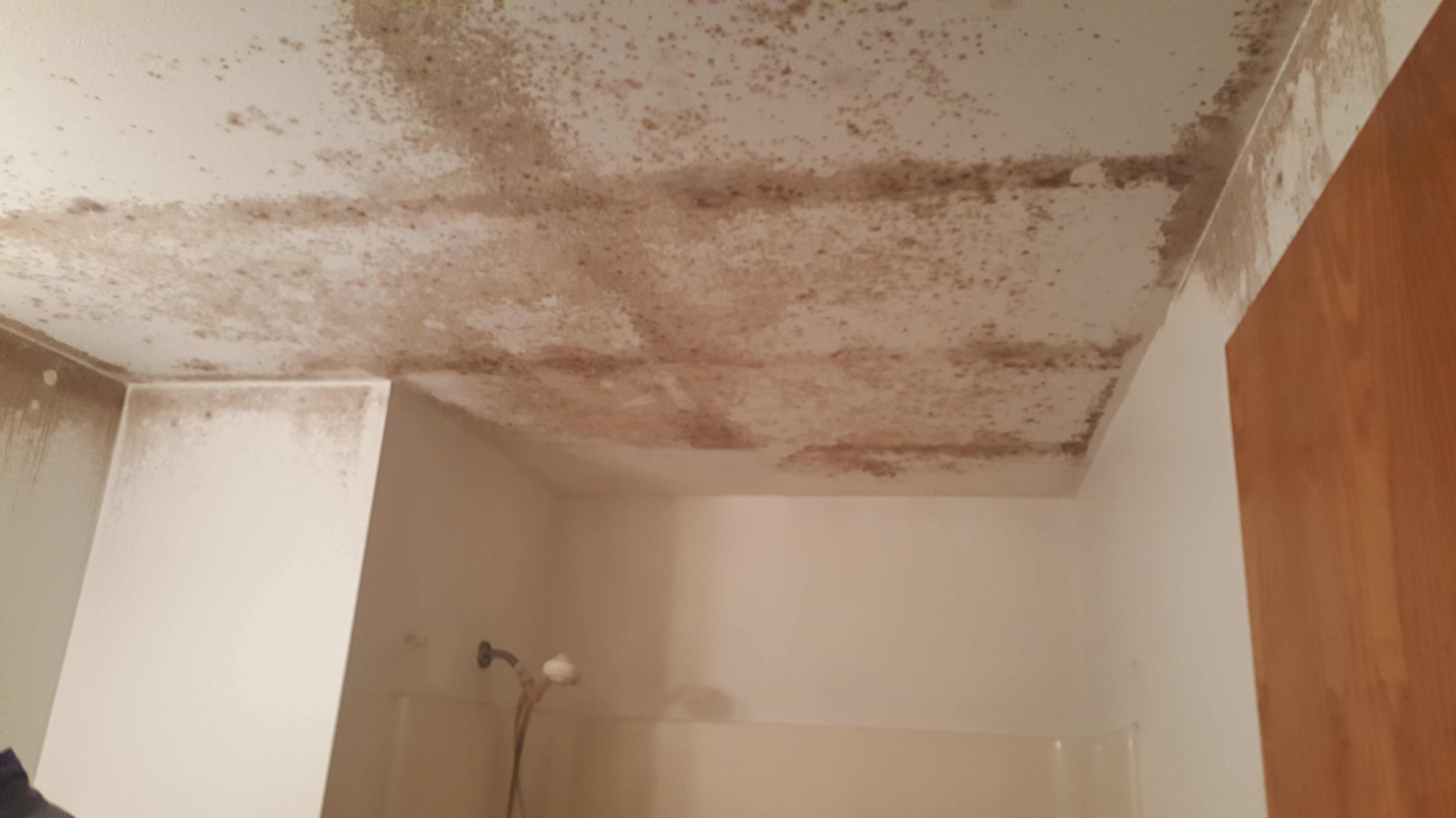 Asbestos removal work site